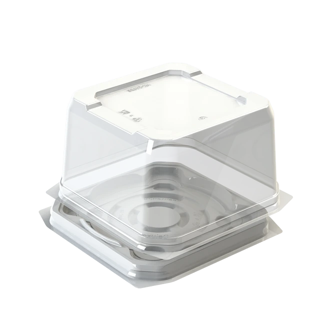 Verpackung für Torten UK 248VB + UK 248N