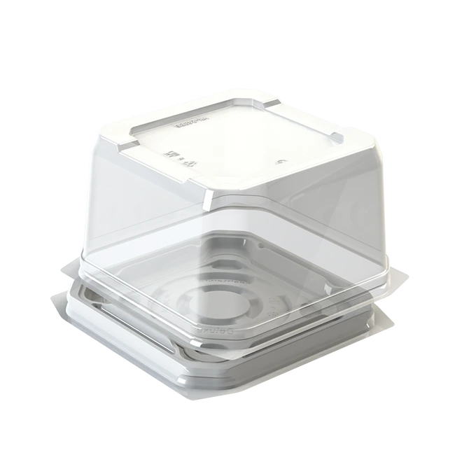 Verpackung für Torten UK 248VB + UK 248NA